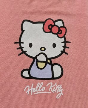 Vista de cerca del estampado de la gata de Hello Kitty sentada con el texto Hello Kitty, en una camiseta infantil. Madrid, Espa&ntilde;a, 3 de mayo de 2026	