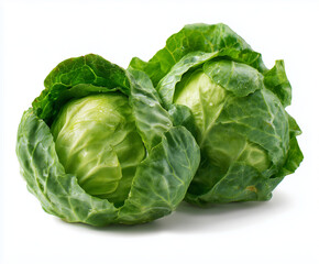 Obraz premium Fresh green round lettuce cabbage vegetable leafy organic healthy raw Fresh green round lettuce cabbage vegetable with leafy texture organic and healthy isolated white background freshness
