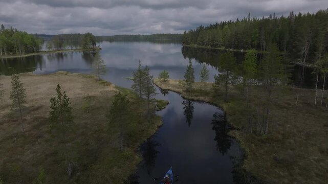 Aerial view of a person kayaking on a calm wilderness lake surrounded by pristine taiga forest and marshland in Mujej&auml;rvi, Finland.