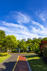 Fototapeta premium Sunny Urban Park Path Under Blue Sky