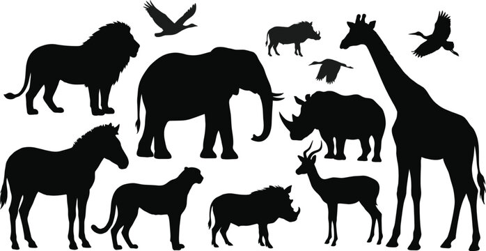 African safari animal silhouette collection with elephant, lion, giraffe, rhino, and zebra for wildlife conservation and nature design