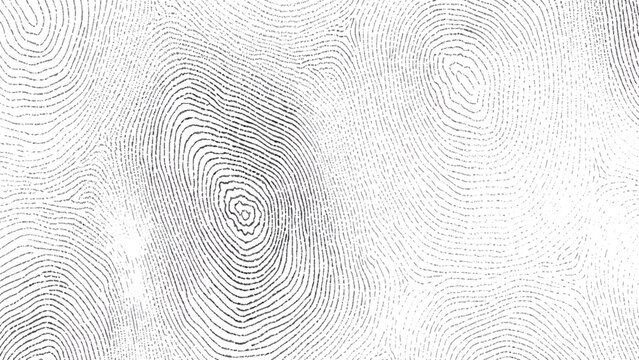 close up grayscale fingerprint pattern with concentric ridge lines loops and whorls forming unique identification texture background