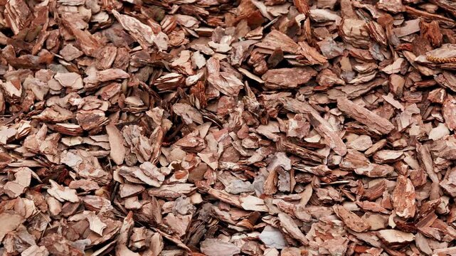 Tree bark chips for garden landscaping and decoration