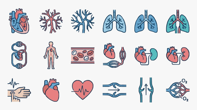 Medical Icons Representing Human Anatomy and Health.