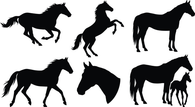 Horse silhouette collection with running rearing galloping poses mare with foal and stallion head for equestrian and ranch designs