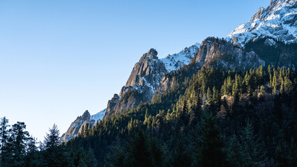 Mountain Ridge and Autumn Forest © ou ming