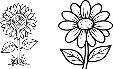 Fototapeta premium Sunflower and daisy line art illustration set