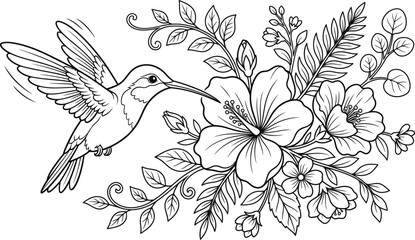 Hummingbird and hibiscus floral line art illustration © MST