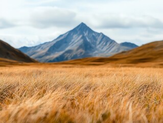 Fototapeta premium Rocky alpine landscape with rough grass and windblown textures, peaks behind