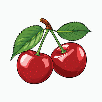 Bright red cherries with green leaves vector illustration