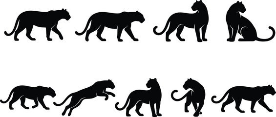 Panther silhouette vector set, black cougar and jaguar icons collection, wild predator cats isolated on white background © VectoStudio