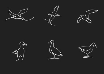 Fototapeta premium Continuous Line Art Bird Icons. Set of Minimalist Flying and Standing Seagulls and Gulls Illustrations.