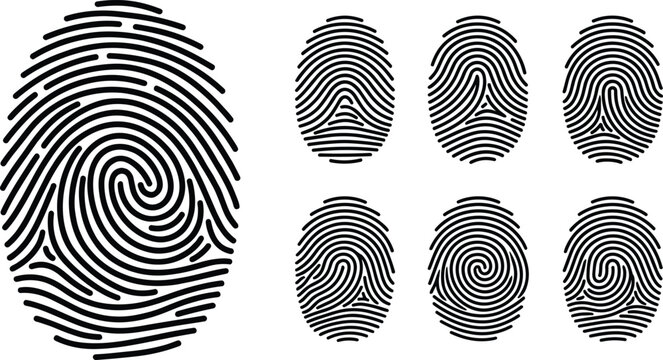 Fingerprint Identification and Biometric Security Collection with Digital Authentication Patterns, Identity Verification Scans and Forensic Access Control Vector Set