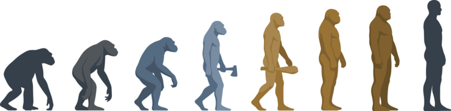 Human Evolution Silhouette Scale Vector Set Depicting Biological Development From Primate Ape and Neanderthal Caveman to Modern Upright Walking Man