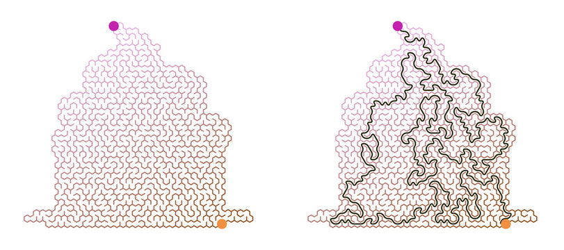 Labyrinth game grid in the shape of a cake with intricate patterns and colored starting points  