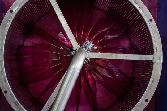 Red Wine Grape Must Inside Pneumatic Press at Winery