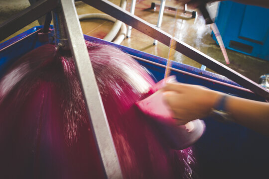 Red Wine Grape Must Flowing During Winery Crushing Process