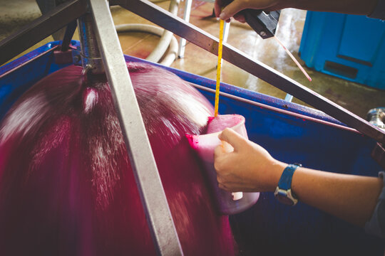 Winemaker Collecting Red Wine Sample During Fermentation Process