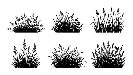 Black Silhouette Grass Clumps, Meadow Plants Collection, Wild Vegetation Elements, Nature Landscape Accents, Vector Set for Design © Imran