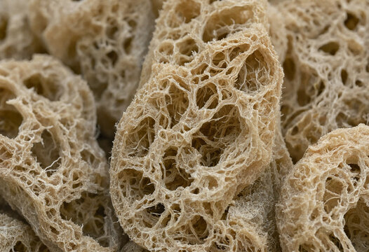 Macro close up view of dried natural luffa sponge fibers showing intricate organic network and porous texture for bathing and exfoliation