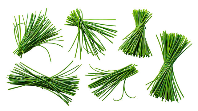Fresh green chives tied in small bundles
