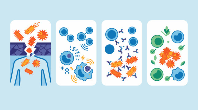 Stylized Immune Cells And Pathogens Illustration Showing Interaction.