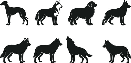 Fototapeta premium Vector Black Silhouette Set of Domestic Dog Breeds and Wild Howling Wolf Icons Collection