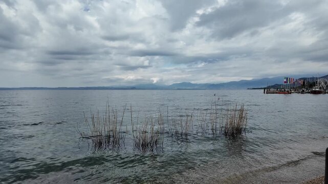 Bardolino, Italy - May 14, 2026 - Calm lake waters with reeds and distant mountains under a cloudy sky