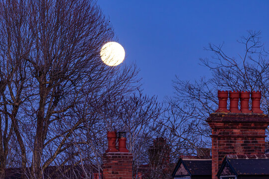 The moon rising behind trees and chimneys in the city of Gloucester, England UK