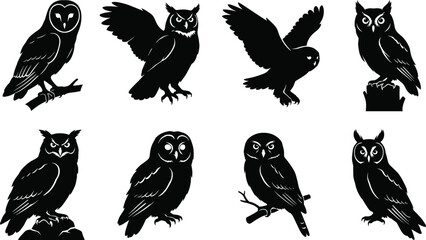 Vector set of owl silhouettes featuring barn owl horned owl and birds of prey for wildlife logo design © MstShapla