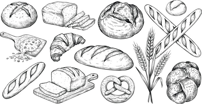 Bakery Shop Bread Collection Vintage Sketch Vector Set Featuring Baguette Croissant Loaf Pretzel Wheat Ears and Sliced Bread Engraving Style Illustrations