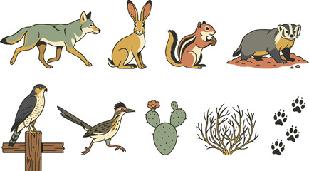 Desert Wildlife Animal Vector Collection Featuring Coyote Jackrabbit Chipmunk Badger Roadrunner Cactus Tracks and Arid Nature Elements © MdNazmul