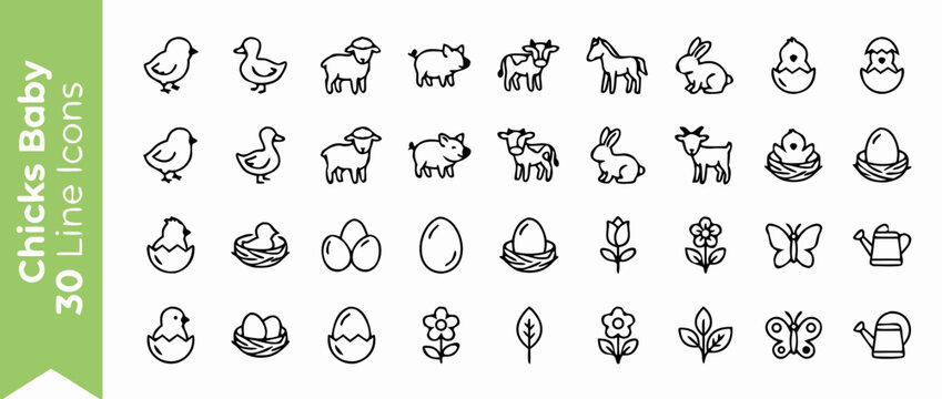 Modern rounded line icon set of 30 spring chicks and baby farm animals featuring cute poultry, ducklings, lambs, and seasonal agriculture symbols for youthful branding and organic farm designs.
