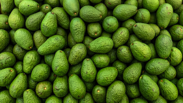 Fresh Green Avocados Pile Healthy Organic Fruit Food Background