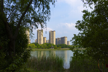 Urban skyline viewed from a tranquil lakeside park © LamQuang