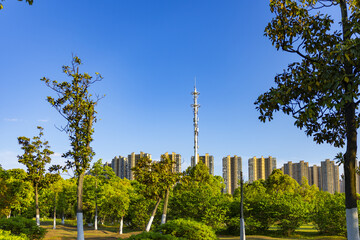 Obraz premium Green Urban Park with High-Rise Skyline and Clear Blue Sky