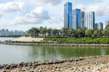 Urban waterfront skyline with palm trees and modern high-rise buildings © LamQuang