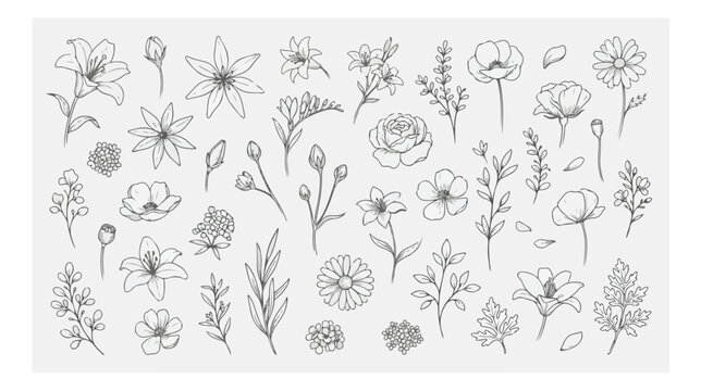 Minimalist hand drawn floral line art collection, elegant black botanical wildflower sketches, delicate garden flower vector set for wedding stationery