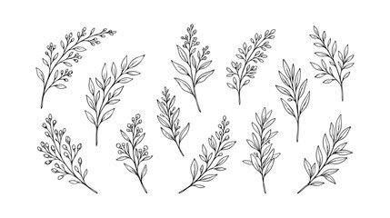 Hand drawn botanical branch set, minimalist black line art floral elements, 12 organic leaf sprig vector illustrations for wedding invitations © xantii