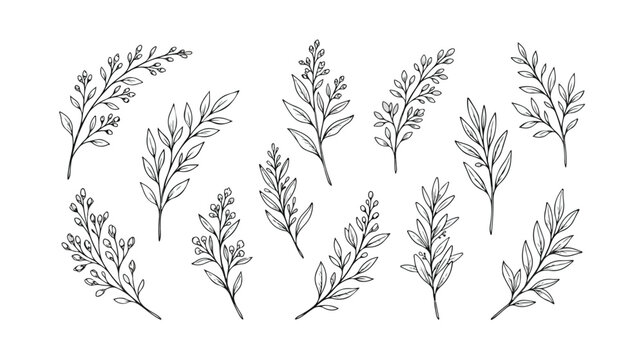 Hand drawn botanical branch set, minimalist black line art floral elements, 12 organic leaf sprig vector illustrations for wedding invitations