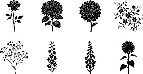 Fototapeta premium Decorative flower silhouette collection featuring botanical floral elements and blooming garden plant illustrations