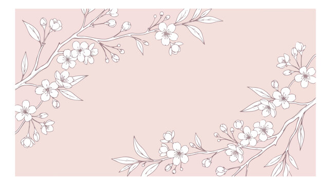 Elegant cherry blossom vector background, hand drawn floral branches on pink backdrop, minimalist spring flower border for wedding invitations