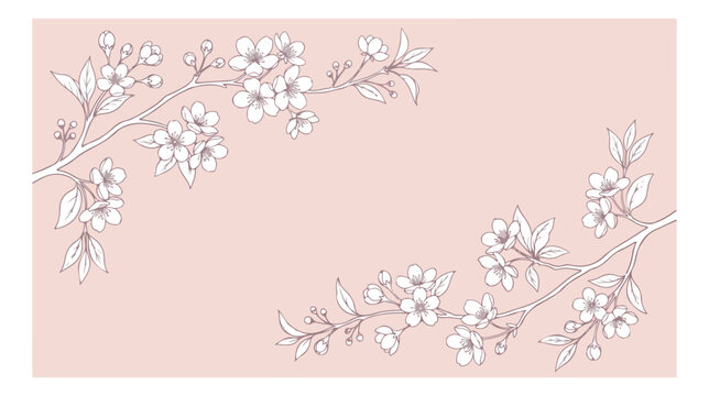 Cherry blossom line art background, elegant sakura floral branches on pink backdrop, minimalist spring flower vector illustration for wedding invitations