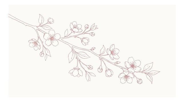 Minimalist cherry blossom branch vector, elegant pink line art floral illustration, delicate sakura flower sketch for wedding invitations and branding