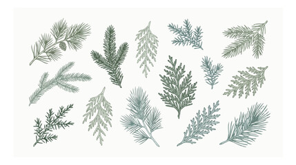 Vintage botanical fern leaf illustrations, hand drawn forest foliage vector set, elegant neutral beige plant fronds for wedding invitations © xantii