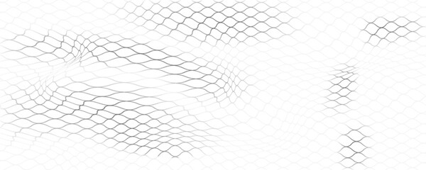 Fishing or soccer net. Repeated hexagon pattern. Black wired mesh texture isolated on white background. eps.10 © Sainal