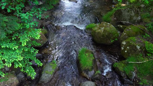 新緑の渓流　山梨市の鼓川