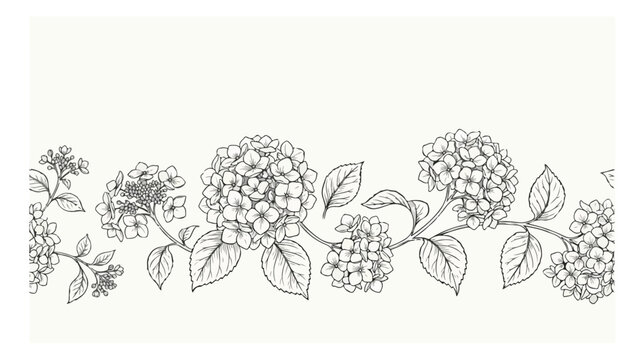 Vintage hydrangea floral border vector, hand drawn botanical line art illustration, elegant black and white flower frame for wedding stationery