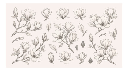 Vintage magnolia flower line art set, hand drawn botanical sketches on beige background, elegant floral vector collection for wedding invitations © xantii