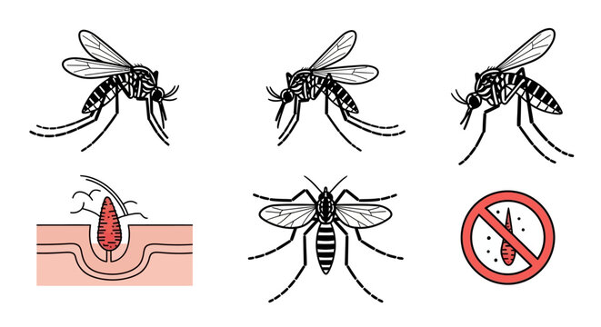 Mosquito Disease Awareness Vector Illustration Set with Bite and Warning Icons